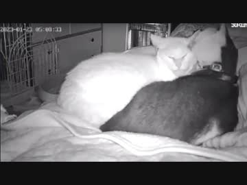 イチャイチャしやがってｗ  2023-01-23
