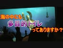 【渡部建】海の中にも多目的トイレってありますか？【タートルトーク】東京ディズニーシー