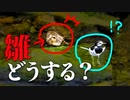 0607C②【ヒナがセキレイに出会った反応】子育ての差。謎の4ヒナ組　#カルガモ親子　#野鳥 　#身近な生き物語