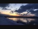 ぶらり散歩　#19　2023/1/23