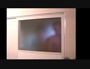 迫   真   空   手   部   の   ド   ア   と   M   U   R   が   吹   っ   切   れ   た