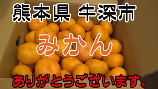 お歳暮：熊本県牛深市みかん2019年12月23日