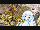2023年1月23日　農作業日誌P518　どことなく寒々しい中の荷造り作業　VOICEVOX