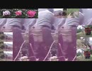 蓬莱幻草刈り〜far weed