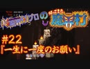 超魔界村プロの【帰ってきた魔界村】実況#22『一生に一度のお願い』