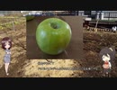 陰キャの【家庭菜園】6年目　その１【先取り最終回】