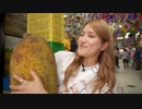 エキゾチックな食べ物 / Comida exotica