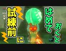 雷鳴の試練開始前にあらかじめ玉を全部はめておくと？【ブレワイ BotW】裏技 バグ 検証 ゆっくり実況 glitch