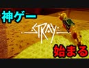 猫ちゃんとサイバーシティの絶妙な世界観！『Stray』実況プレイ part10