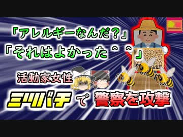 【2022年米国】 『あら、彼はアレルギーがあったの？それはよかった』ハチに警察官を襲わせた女性が放った恐ろしい一言【ゆっくり解説】