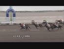 2023年1月24日高知競馬2R 東京スポーツ新聞社協賛 第３７回全日本新人王争覇戦 第１戦(C3-2組) ファインヒューズ