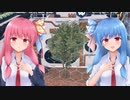 【Astro Colony】ことのはスペースファクトリー！#11【A.I.VOICE実況】