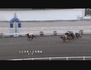 2023年1月24日高知競馬4R 東京スポーツ新聞社協賛 第３７回全日本新人王争覇戦 第２戦(C2-2組) ディープエコロジー