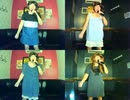 フェンス／PARADISE LOST
