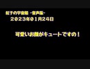 紅子の宇宙船 －音声版－ 2023年01月24日