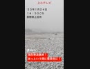 長野県上田市　１０年に一度の寒波？襲来！　午前中の晴れから一転雪景色に！