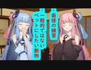 琴葉 茜は話したい(面接の練習はなんやかんや、珍しいペットはなんやかんや)