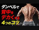 【筋トレ】ダンベルで背中を鍛える4つのコツ | ボディビルチャンピオンが解説【ビーレジェンド プロテイン】