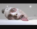 【奇ゲー】自分の内臓をホラーテイストで表現したゲームが理解不可能な件【Self Portrait】