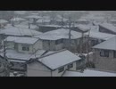 滑らないようにおそるおそる歩いて通勤通学、各地で氷点下の冷え込み