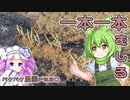 2023年1月25日　農作業日誌P520　たまにはじっくり草むしり　VOICEVOX