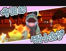 【ポケモンSV】きょうのもととかげ01/23【メガネオーバーヒート】