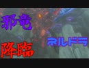 雪山の神ドラゴン、ネルドラと相対する男　Part 9【ゼルダの伝説ブレスオブザワイルド】