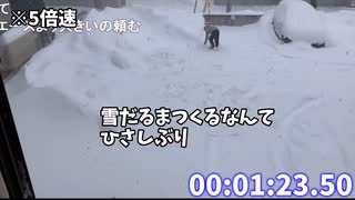 【字幕解説】⛄雪だるま破壊RTA 1:18:12【札幌】