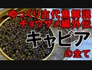 【ゆっくり解説】現生の古代魚解説　チョウザメ編外伝・キャビア【アクアリウム】