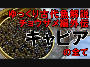 【ゆっくり解説】現生の古代魚解説　チョウザメ編外伝・キャビア【アクアリウム】