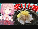 【炙りも煽りも上等？】反射顔バレが怖いほど光ってる1ｍ越えの太刀魚を大量に捌いて炙るぜ！【VOICEROIDキッチン＋生声】