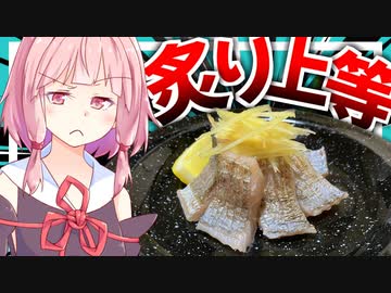 【炙りも煽りも上等？】反射顔バレが怖いほど光ってる1ｍ越えの太刀魚を大量に捌いて炙るぜ！【VOICEROIDキッチン＋生声】