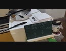 ｛昆虫｝国産ノコギリクワガタ幼虫のマットを交換｛飼育｝