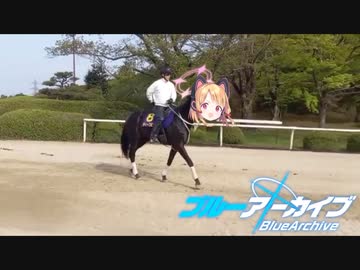 ﾓﾓｰｲ