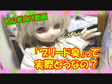 【ラブドールと解説】「ブリード臭」って実際どうなの？【ゆっくり解説・ゆっくり茶番劇】