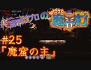 超魔界村プロの【帰ってきた魔界村】実況#25『魔窟の主』