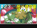 【色縛り実況】紳士の愛と色違いⅥ＃23【ポケモンXY】