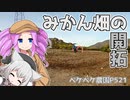 2023年1月26日　農作業日誌P521　これからのミカン畑の開拓のお仕事　VOICEVOX