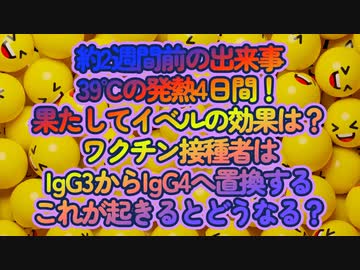 発熱したけど難無く生還！ただワクチン接種者でIgG4抗体が多いとヤバいかも...