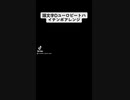LOST in to the Night ELISA ミコトHI Euro remix