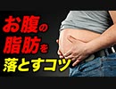 【筋トレ】お腹の脂肪を落とすコツ | ボディビルチャンピオンが解説【ビーレジェンド プロテイン】
