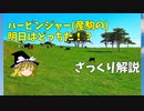 【ゆっくり解説】ハービンジャーの明日はどっちだ！？【ざっくり解説】