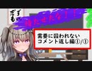 【つむぎ＆ひまりバイクツーリング】琵琶湖編コメント返し【R1200RS/Driveman BS-9b】