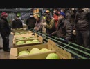 【寒波】野菜品薄…例年の８割で「値段が上がってしまう」　２８日も内陸中心に氷点下か