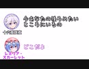 咲夜「今あなたの後ろめたいところにいるの」レミリア「どこだよ」【ふたセリフPart4】