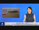 海外発注激減と共に、上海港の船便キャンセル率が高くなる