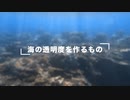 沖縄の海はなぜ綺麗？海の透明度の違いを解説！