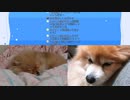 さくはいしん(20220829)