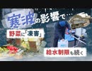 「凍った野菜…売り物にならない」寒波の影響続く　給水制限も
