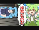 拉致監禁犯と誤解されるずんだもん